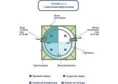 Гринлос Эко 6