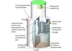 Панда Хайд 2.5