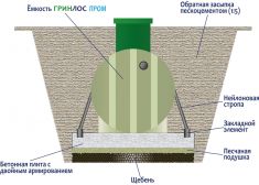 ГРИНЛОС Пром 100